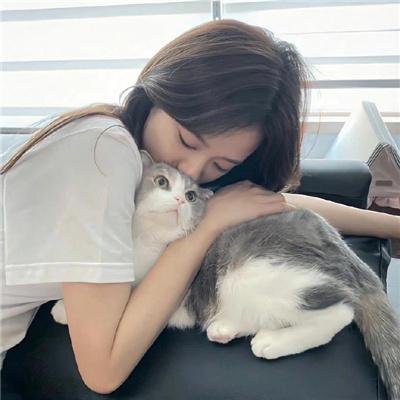 妙警贼探第二季
