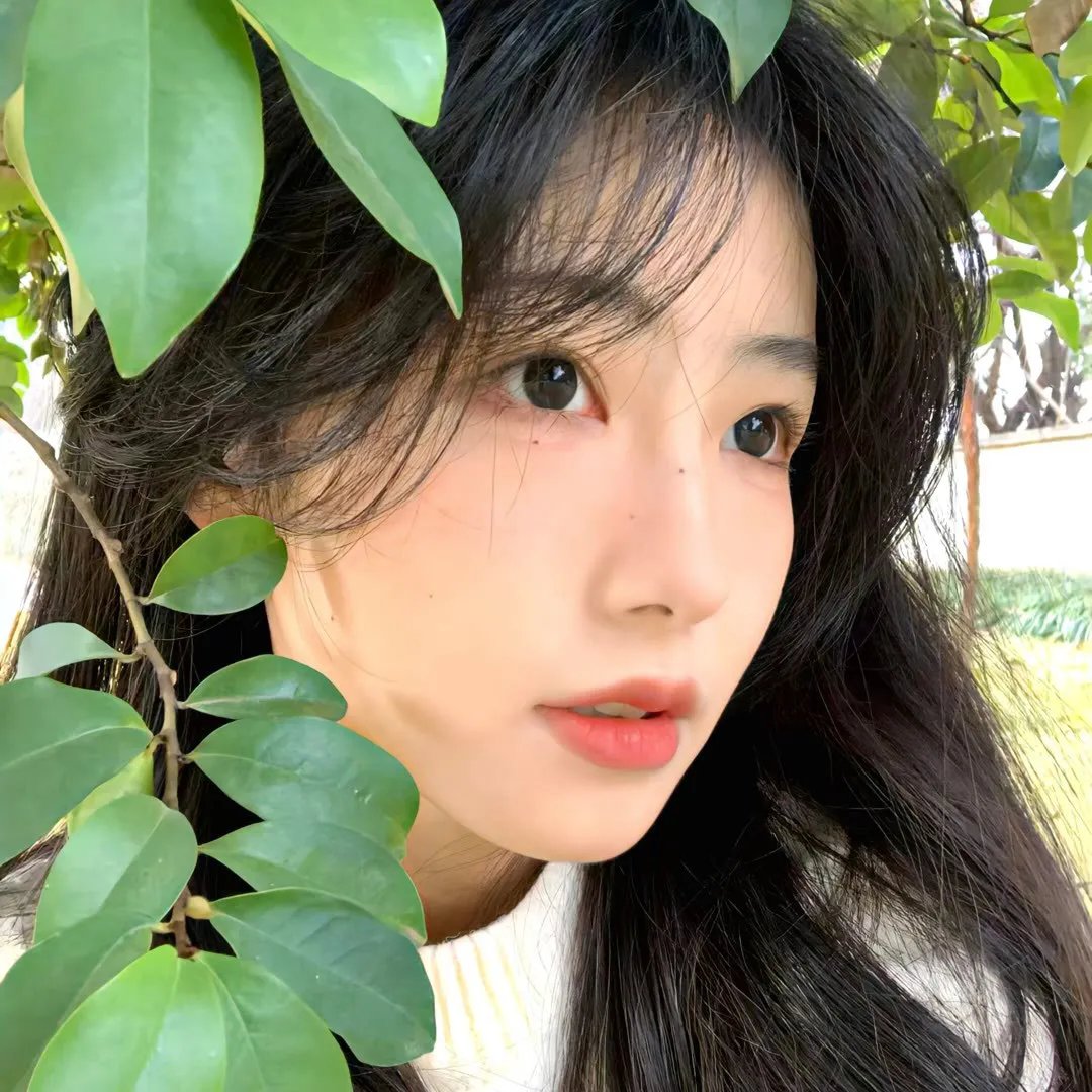 爱与自由